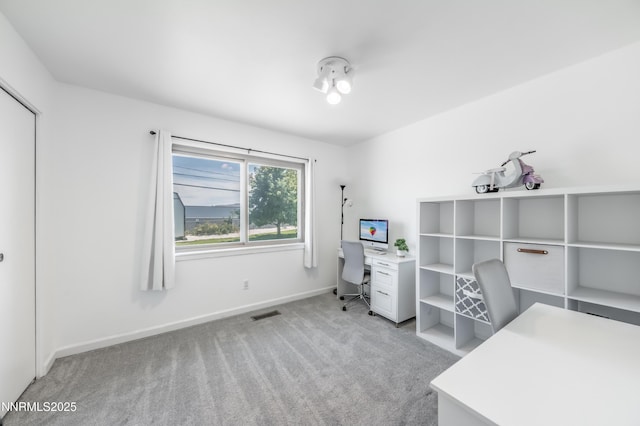 11095 Broken Hill Rd, Reno, NV 89511 - photo 20