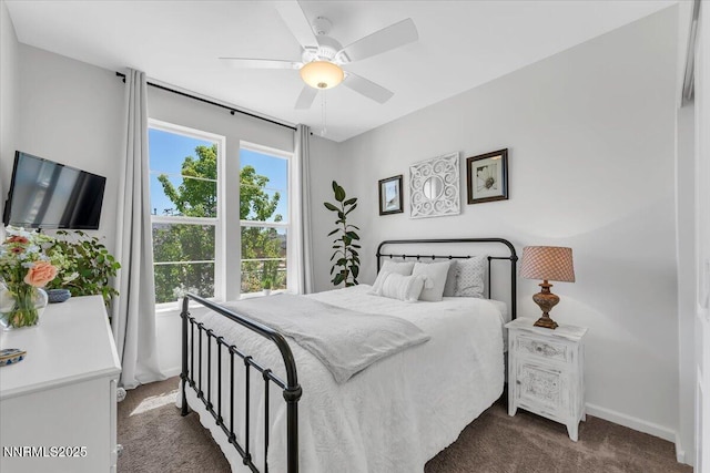 10365 N Penasquitos Dr, Spanish Springs, NV 89441 - photo 22