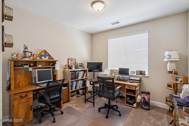 4715 Cosumnes Ln, Sparks, NV 89436 - photo 22
