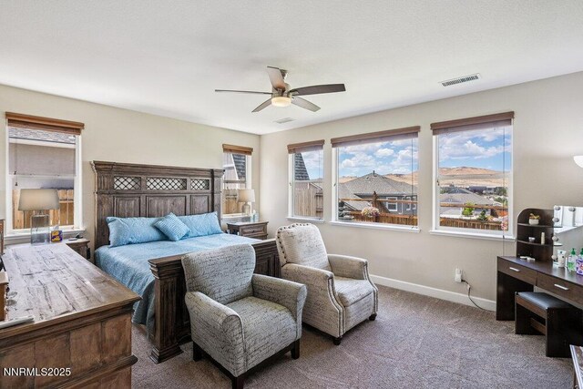 4715 Cosumnes Ln, Sparks, NV 89436 - photo 25
