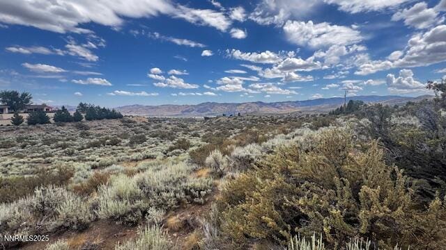 0 Mountain Daisy Rd, Reno, NV 89511 - photo 6