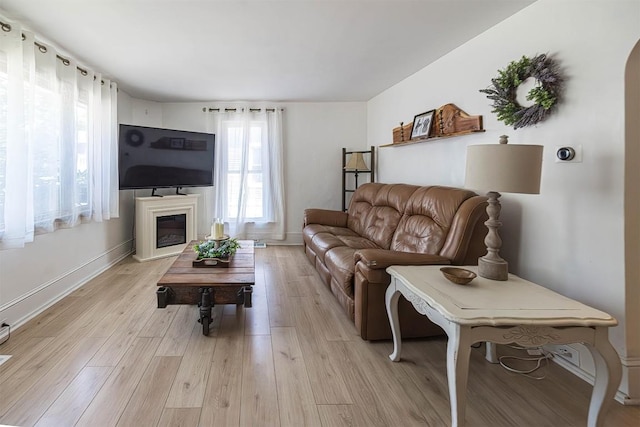 9 E Division St, North East, PA 16428 - living room with light wood-type flooring and a glass covered fireplace