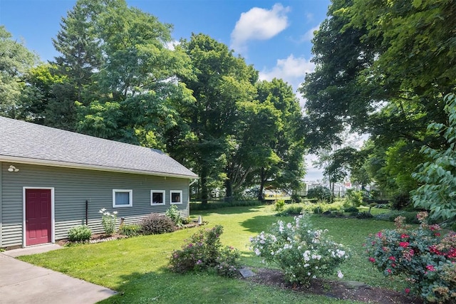 9 E Division St, North East, PA 16428 - view of grassy yard