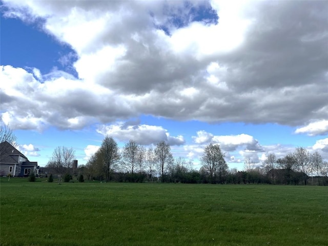 view of local wilderness with a rural view