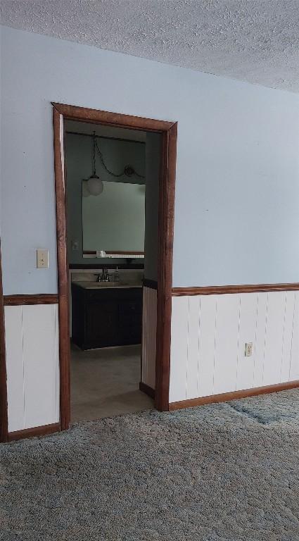 549 Kinsman Rd, Jamestown, PA 16134 - hall with carpet floors, a textured ceiling, a sink, and a wainscoted wall