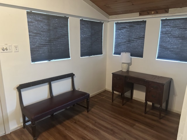 living area featuring dark hardwood / wood-style flooring and lofted ceiling