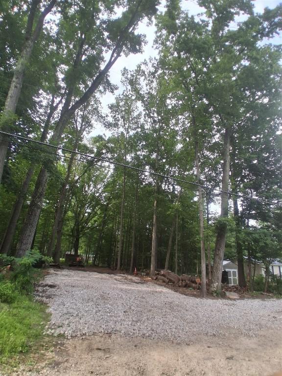 1706 Woodland Rd, Espyville, PA 16424 - view of tree filled area