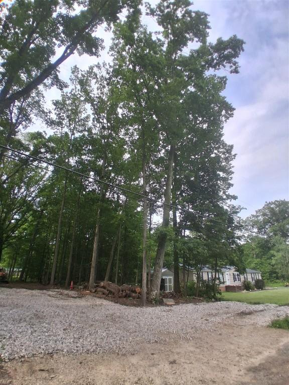 1706 Woodland Rd, Espyville, PA 16424 - view of yard