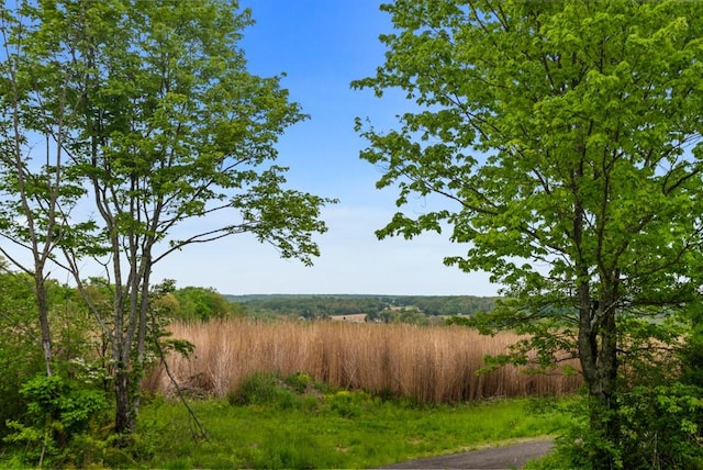 view of landscape