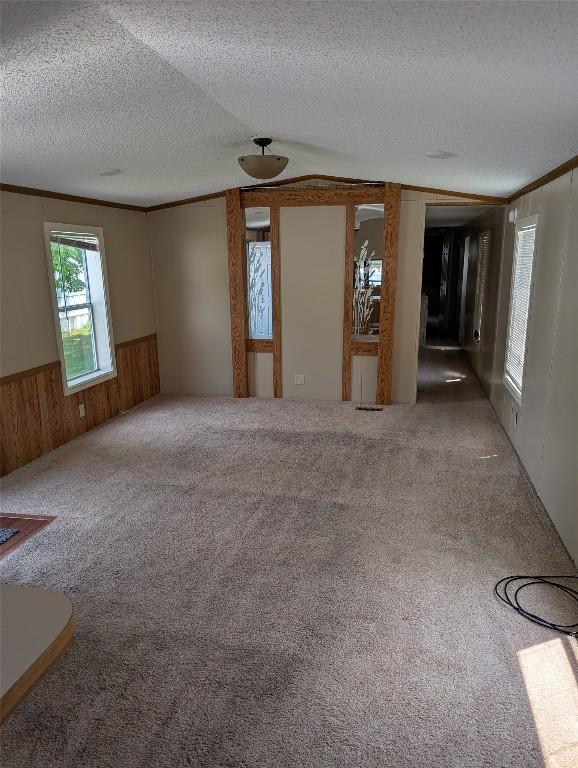 5005 Zuck Rd Unit 21, Erie, PA 16506 - unfurnished room with wainscoting, carpet, wood walls, and a textured ceiling