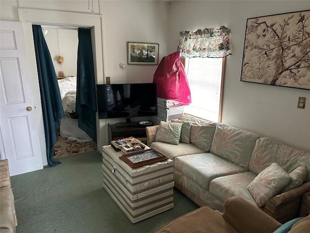 living room featuring carpet floors