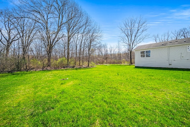 2521 Mccain Ave, Erie, PA 16510 - view of yard