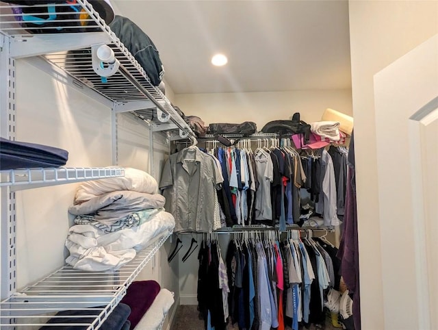 spacious closet with carpet