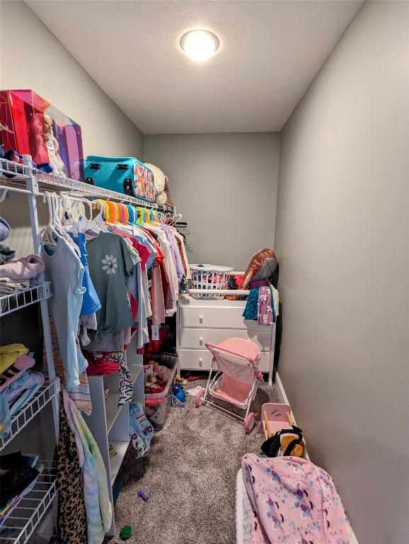 spacious closet with carpet