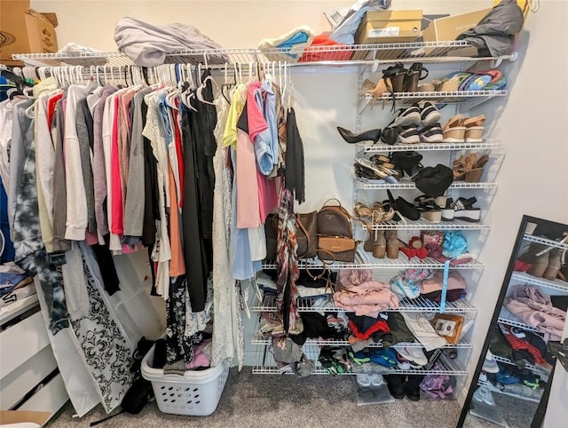 walk in closet featuring carpet floors