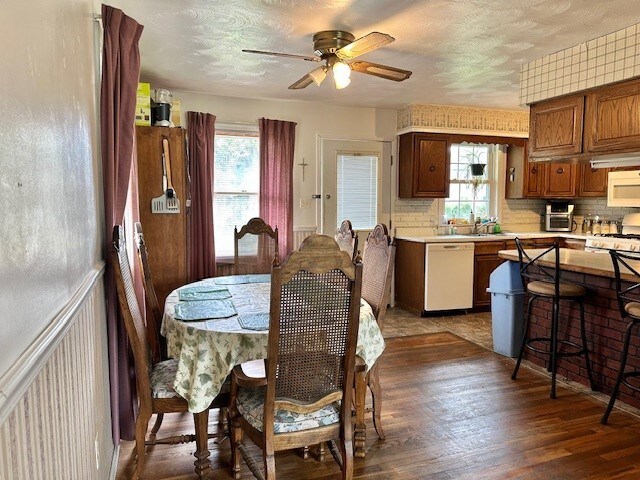 dining space featuring ceiling fan, dark wood-style floors, and a healthy amount of sunlight