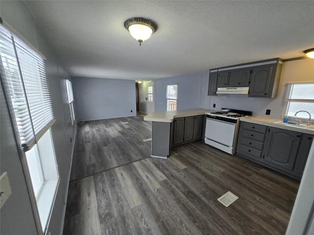 kitchen with gray cabinets, gas range gas stove, kitchen peninsula, sink, and dark wood-type flooring