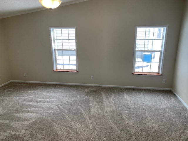 spare room featuring a wealth of natural light, carpet flooring, and lofted ceiling