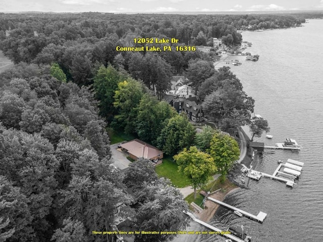 12052 Lake Dr, Conneaut Lake, PA 16316 - bird's eye view of a large body of water and a heavily wooded area