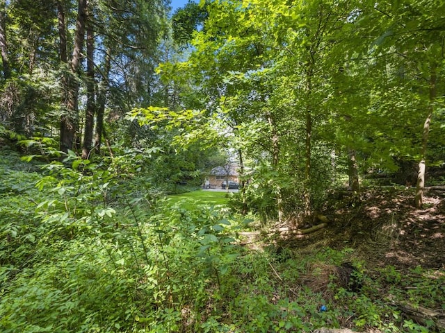 12052 Lake Dr, Conneaut Lake, PA 16316 - view of local wilderness