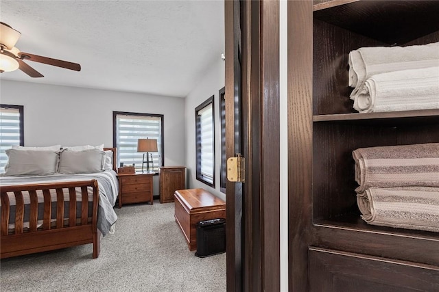 18376 Barber Rd, Meadville, PA 16335 - carpeted bedroom with multiple windows and ceiling fan
