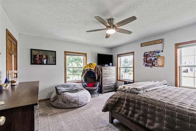 18376 Barber Rd, Meadville, PA 16335 - bedroom featuring carpet, a textured ceiling, and ceiling fan