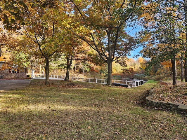 view of yard