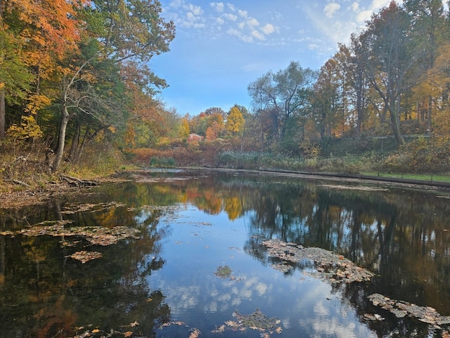 property view of water