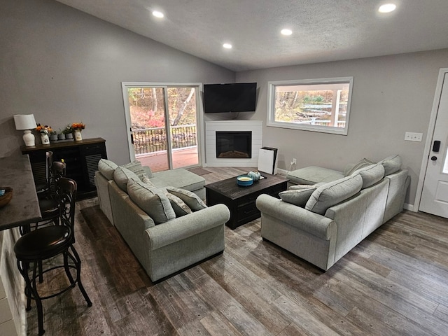 living room featuring dark wood-type flooring and lofted ceiling