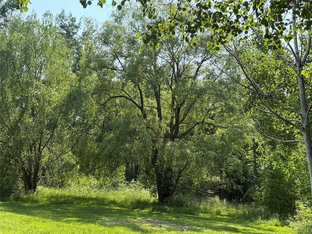 5700 Franklin Rd, Fairview, PA 16415 - view of woods
