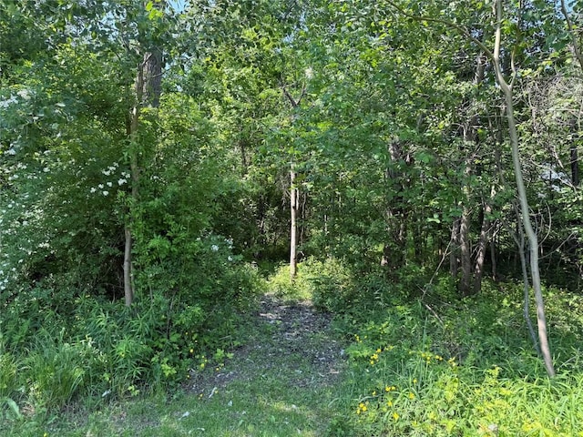 5700 Franklin Rd, Fairview, PA 16415 - view of woods