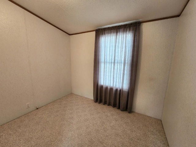 carpeted empty room with ornamental molding, plenty of natural light, and a textured ceiling