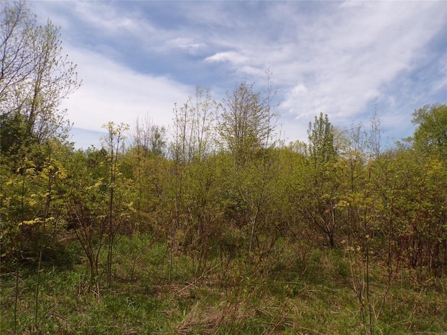 Pagan Rd, Erie, PA 16509 - photo 5