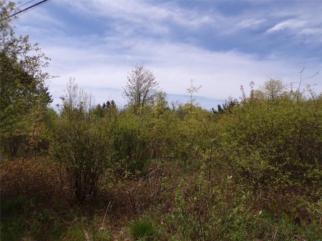 Pagan Rd, Erie, PA 16509 - photo 3
