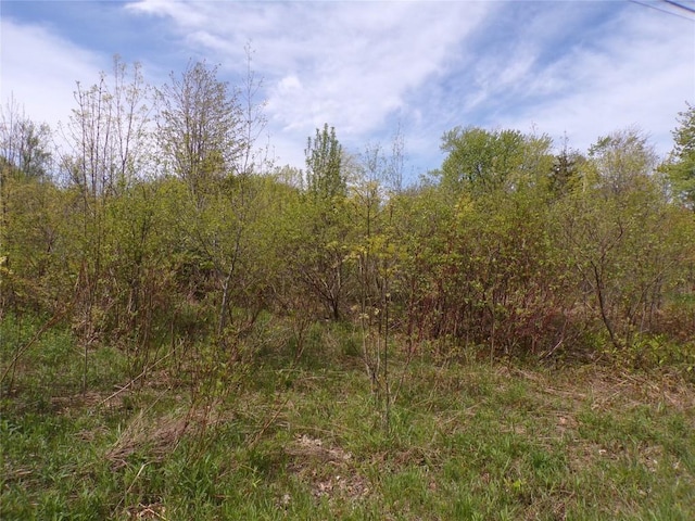 Pagan Rd, Erie, PA 16509 - photo 6