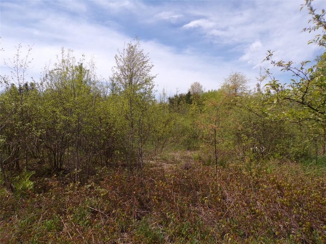 Pagan Rd, Erie, PA 16509 - photo 4
