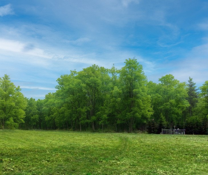 Thoroughbred Loop, Erie, PA 16506 - photo 1