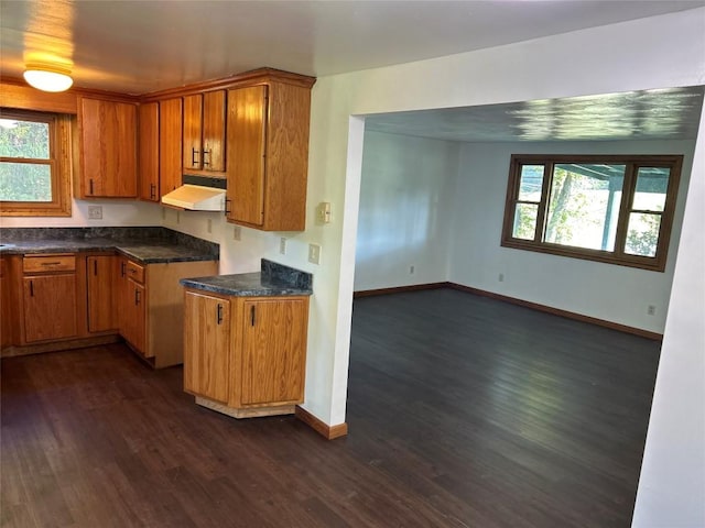 kitchen featuring dark hardwood / wood-style flooring