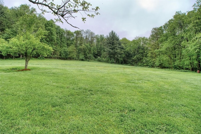 23186 Hatchtown Rd, Spartansburg, PA 16434 - view of grassy yard featuring a wooded view