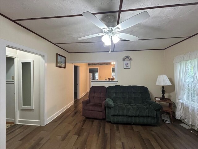 10689 Glenn Blvd, Conneaut Lake, PA 16316 - living room featuring wood finished floors, ceiling fan, and a textured ceiling