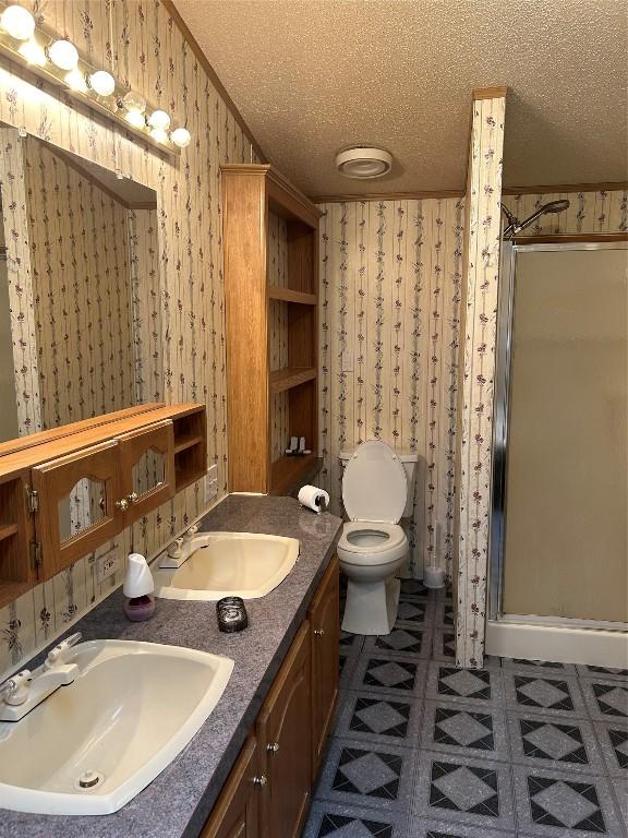 bathroom with a shower with door, vanity, a textured ceiling, and toilet