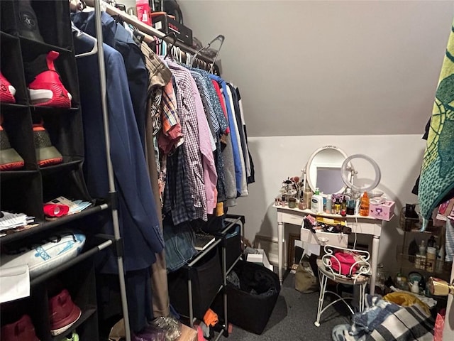 1048 W 6th St, Erie, PA 16507 - walk in closet with carpet flooring