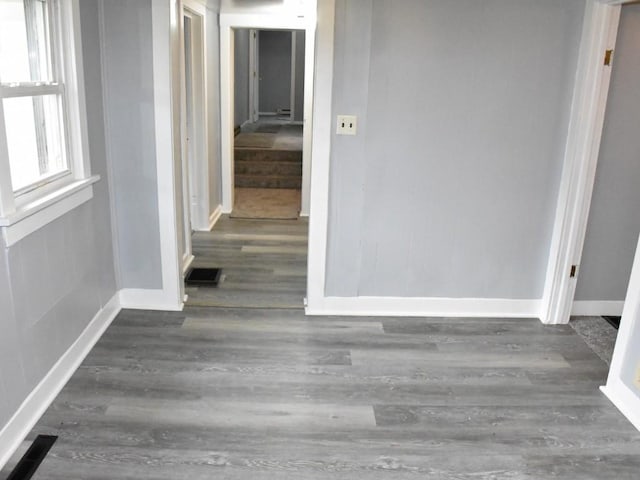 corridor featuring dark wood-type flooring