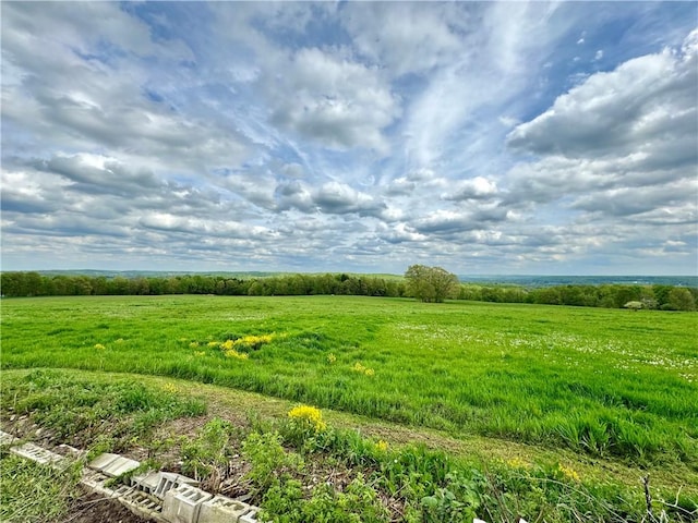 view of landscape featuring a rural view