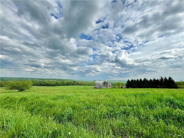 view of nature with a rural view