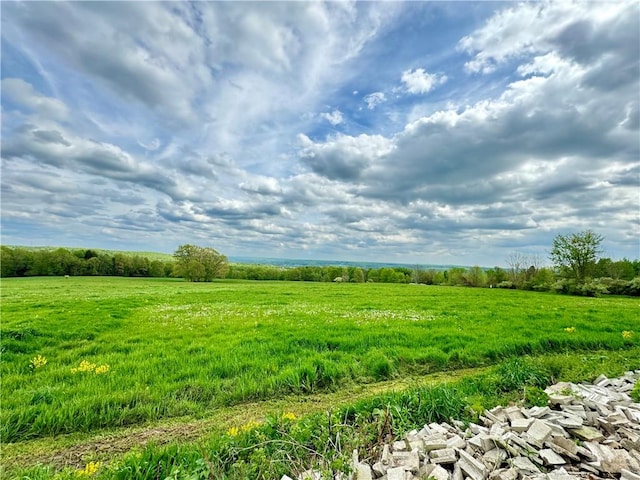 view of landscape featuring a rural view