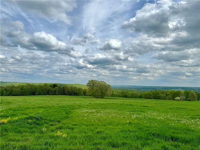 view of local wilderness featuring a rural view