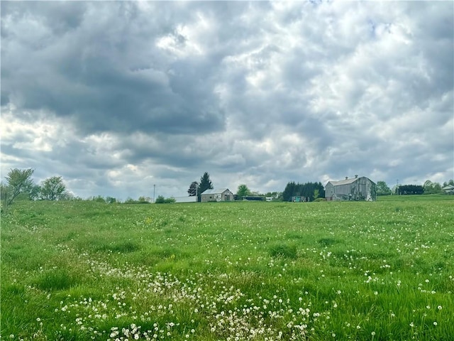 view of local wilderness with a rural view