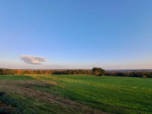 view of yard with a rural view