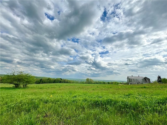 view of local wilderness featuring a rural view